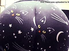 Ibu-ibu rampasan besar dalam celana kucing memamerkan lekuk tubuh seksi mereka