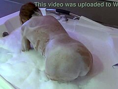Dojrzała żona zostaje lizana i ruchana pod prysznicem przez swojego męża